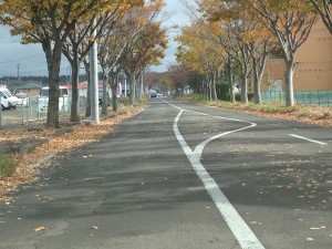 グループホームおちあいの前道路